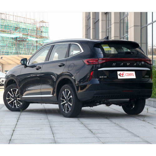 Haval H6 2022 2.0T gasoline four-wheel drive 5 seats  new Car SUV 4WD H6 car haval black SUV Haval H6